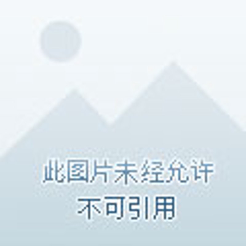 绿色新引擎：新能源项目在产业升级中的作用